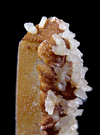 Siderite and Calcite on Quartz from Biggenden, Australia