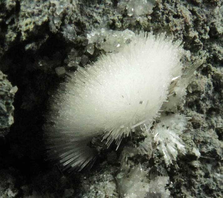 Natrolite from Millington Quarry, Bernards Township, Somerset County, New Jersey