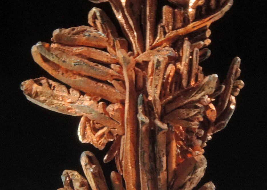 Copper (naturally crystallized native copper) from Onganja Mine, Seeis, Khomas, Namibia