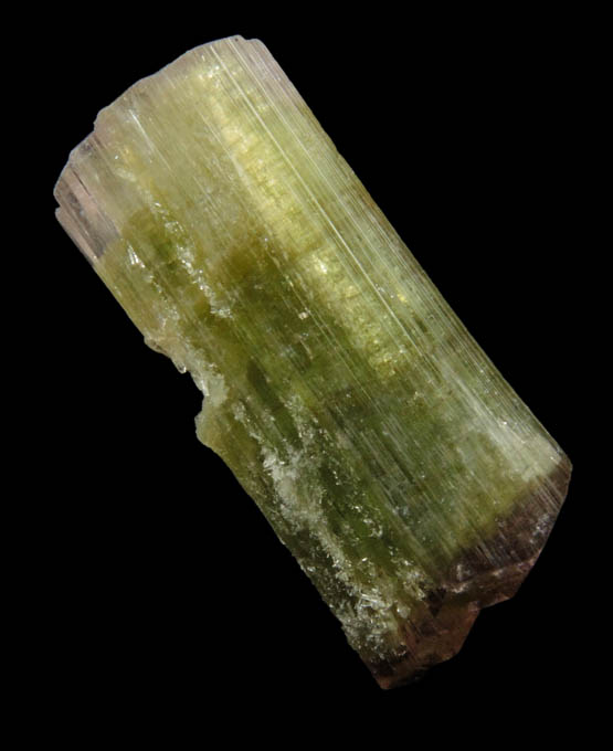 Elbaite Tourmaline (bi-colored) from Kamdesh District, Nuristan Province, Afghanistan