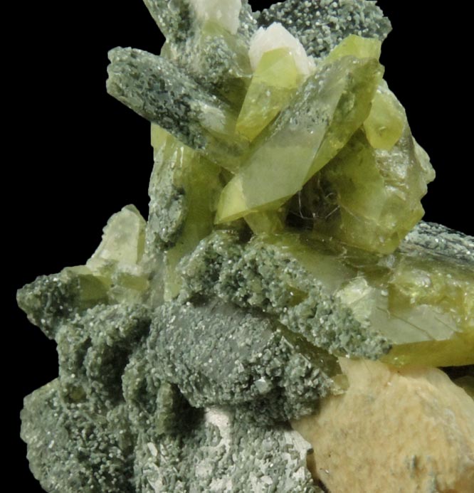 Chlorite on Titanite from Tormiq area, northwest of Skardu, Haramosh Mountains, Baltistan, Gilgit-Baltistan, Pakistan