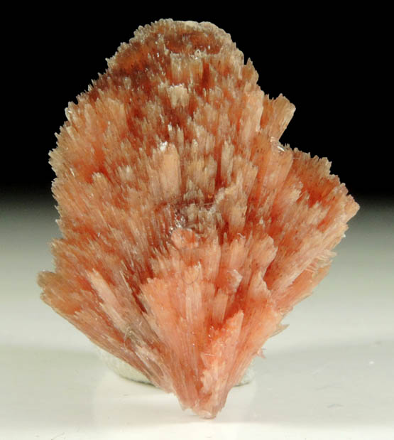 Inesite from N'Chwaning II Mine, Kalahari Manganese Field, Northern Cape Province, South Africa