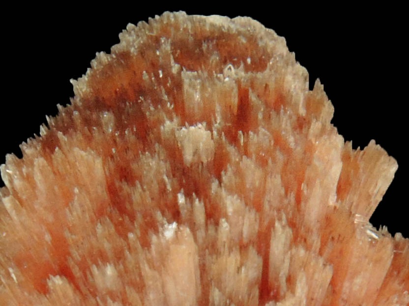 Inesite from N'Chwaning II Mine, Kalahari Manganese Field, Northern Cape Province, South Africa