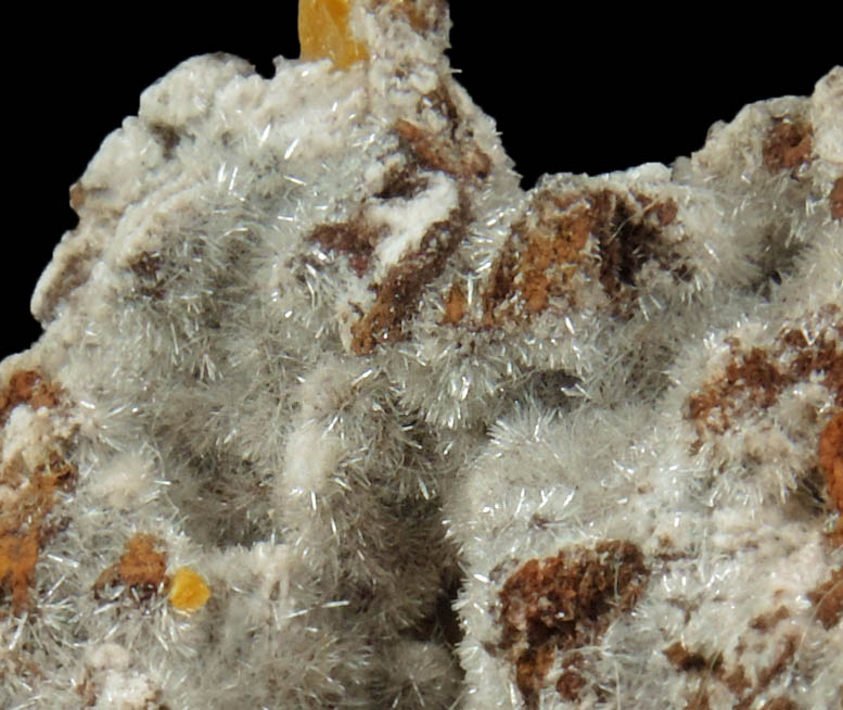 Hydrozincite and Wulfenite from Sierra de Los Lamentos, Chihuahua, Mexico