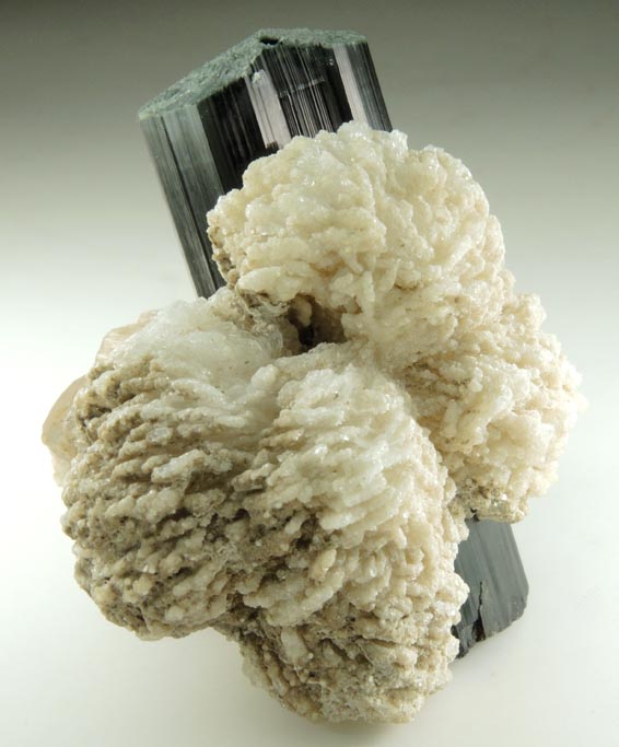 Fluorapatite, Schorl Tourmaline, Albite var. Cleavelandite from Bulochi, near Shengus, Skardu District, Gilgit-Baltistan, Pakistan