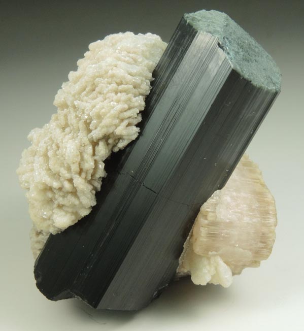 Fluorapatite, Schorl Tourmaline, Albite var. Cleavelandite from Bulochi, near Shengus, Skardu District, Gilgit-Baltistan, Pakistan