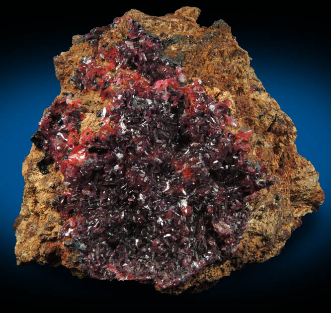 Wendwilsonite from Aghbar Mine, 10 km east of Bou Azzer Mine, Zagora, Dra-Tafilalet, Morocco (Type Locality for Wendwilsonite)