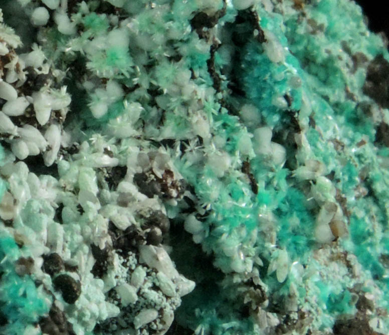 Aurichalcite and Smithsonite from Kelly Mine, Magdalena District, Socorro County, New Mexico