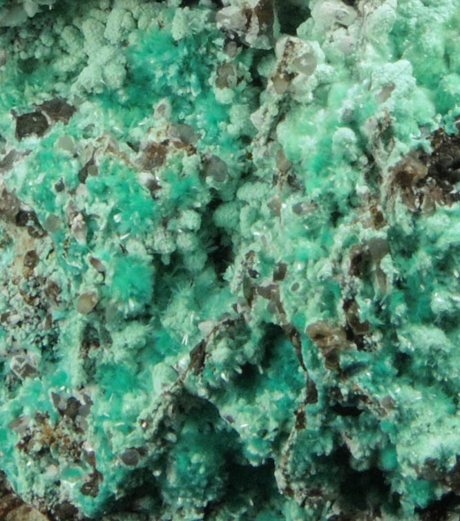 Aurichalcite and Smithsonite from Kelly Mine, Magdalena District, Socorro County, New Mexico