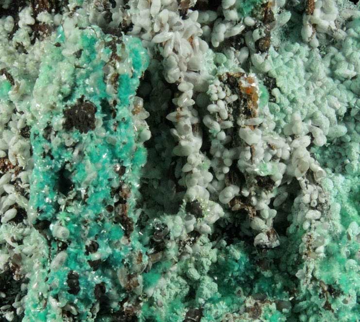 Aurichalcite and Smithsonite from Kelly Mine, Magdalena District, Socorro County, New Mexico