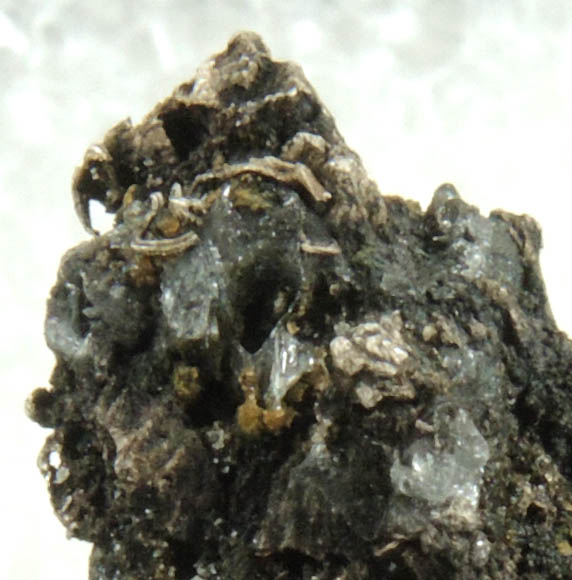 Silver from Molly Gibson Mine, Aspen, Pitkin County, Colorado