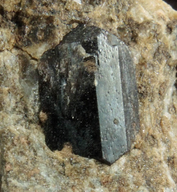 Lorenzenite with Aegirine from Flora Mt., Lovozero massif, Kola Peninsula, Russia