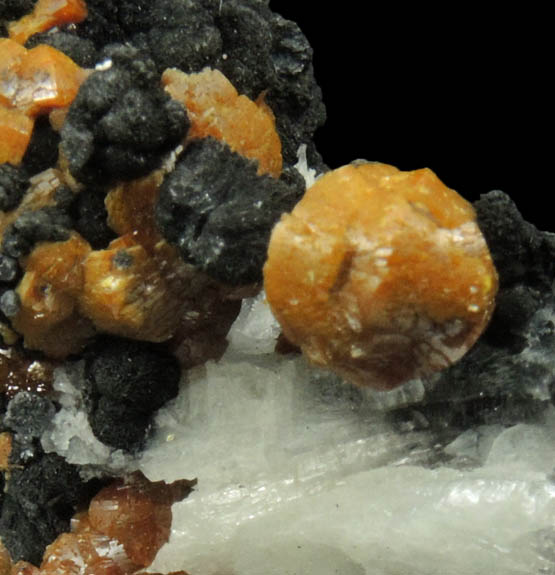 Mimetite var. Campylite with Psilomelane on Barite from Drygill Mine, Caldbeck Fells, 16 km WNW of Penrith, Cumberland, England