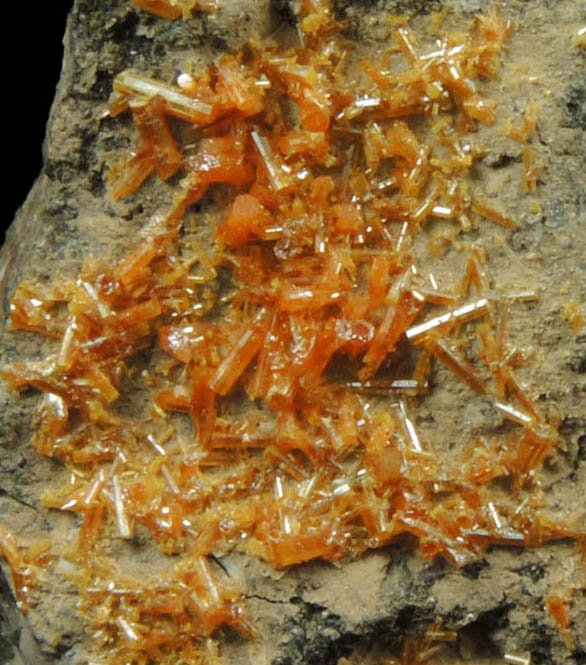 Mimetite from Mammoth-St. Anthony Mine, Tiger, Mammoth District, Pinal County, Arizona