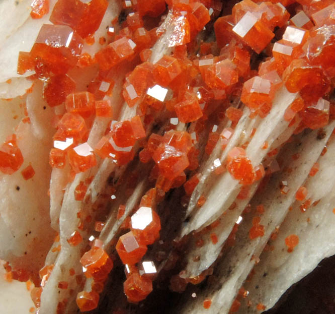 Vanadinite on Barite from Mibladen, Haute Moulouya Basin, Zeida-Aouli-Mibladen belt, Midelt Province, Morocco