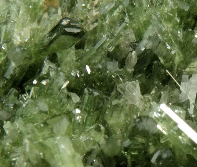 Diopside, Quartz, Actinolite from Kashmiri Pass, 16,200 ft. elevation, Melasis, Pakistan