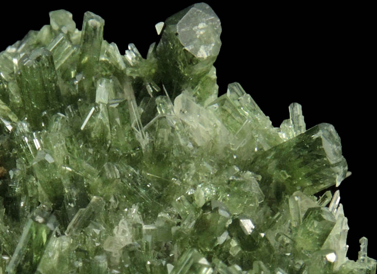 Diopside, Quartz, Actinolite from Kashmiri Pass, 16,200 ft. elevation, Melasis, Pakistan