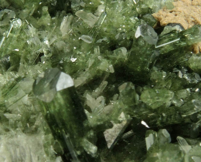 Diopside, Quartz, Actinolite from Kashmiri Pass, 16,200 ft. elevation, Melasis, Pakistan