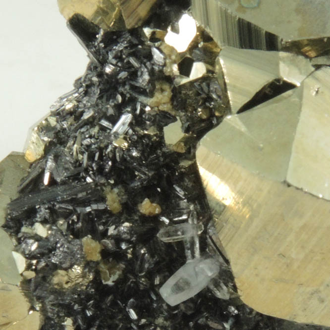 Enargite on Pyrite from Leonard Mine, Butte Mining District, Summit Valley, Silver Bow County, Montana