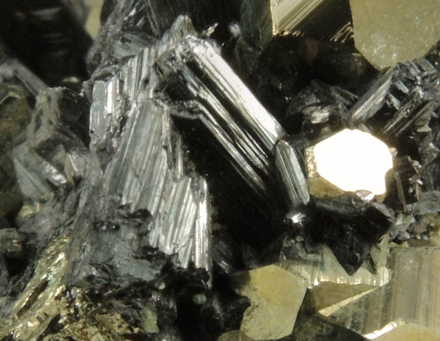 Enargite on Pyrite from Leonard Mine, Butte Mining District, Summit Valley, Silver Bow County, Montana