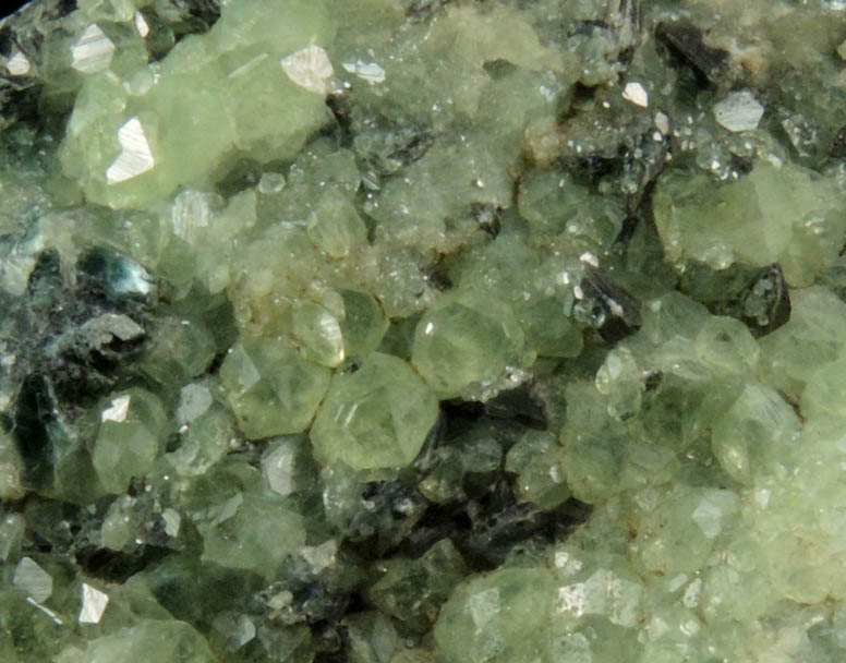 Andradite var. Demantoid Garnet with Clinochlore from Chukotskii (Chukotka), Magadan Oblast, Russia