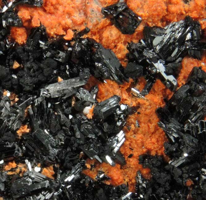 Gaudefroyite on Andradite Garnet from Wessels Mine, Kalahari Manganese Field, Northern Cape Province, South Africa