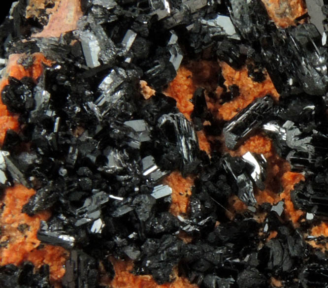 Gaudefroyite on Andradite Garnet from Wessels Mine, Kalahari Manganese Field, Northern Cape Province, South Africa