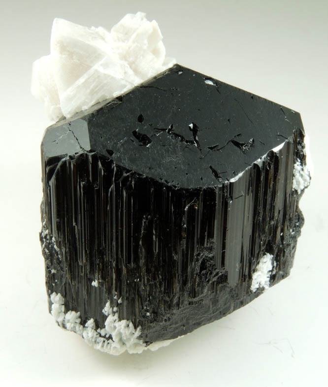 Schorl-Dravite Tourmaline with Albite from Minas Gerais, Brazil