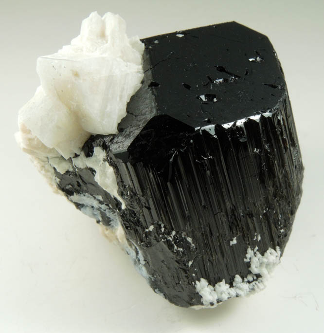 Schorl-Dravite Tourmaline with Albite from Minas Gerais, Brazil