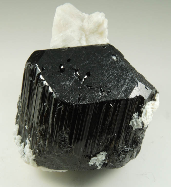 Schorl-Dravite Tourmaline with Albite from Minas Gerais, Brazil