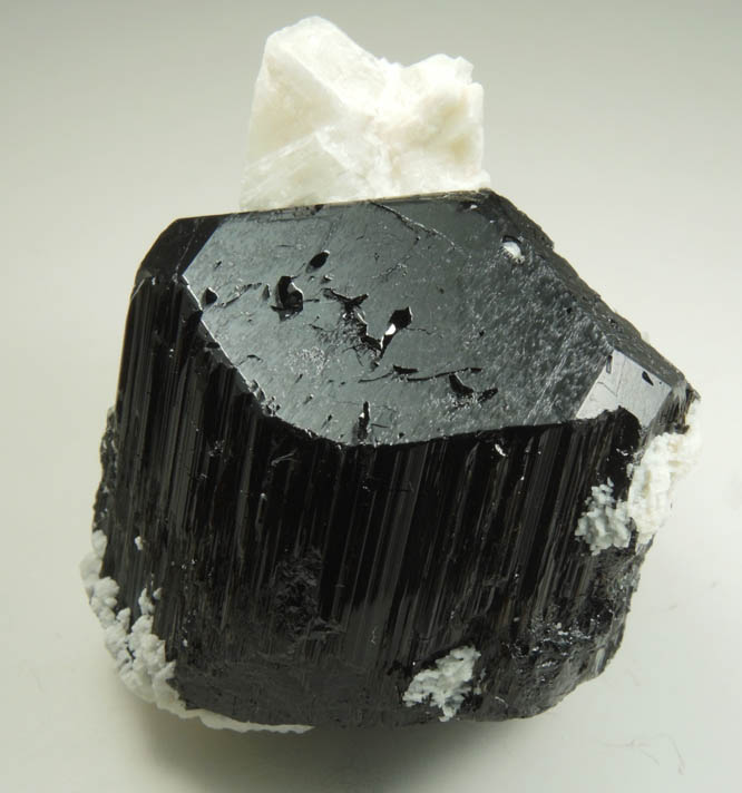 Schorl-Dravite Tourmaline with Albite from Minas Gerais, Brazil