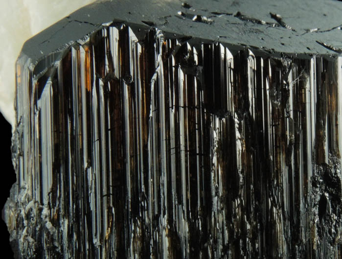 Schorl-Dravite Tourmaline with Albite from Minas Gerais, Brazil