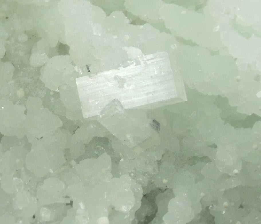 Apophyllite on Prehnite pseudomorphs after Laumontite from Mumbai District, Maharashtra, India