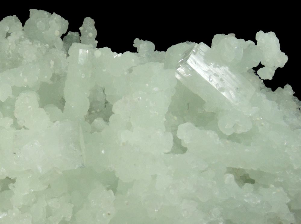 Apophyllite on Prehnite pseudomorphs after Laumontite from Mumbai District, Maharashtra, India