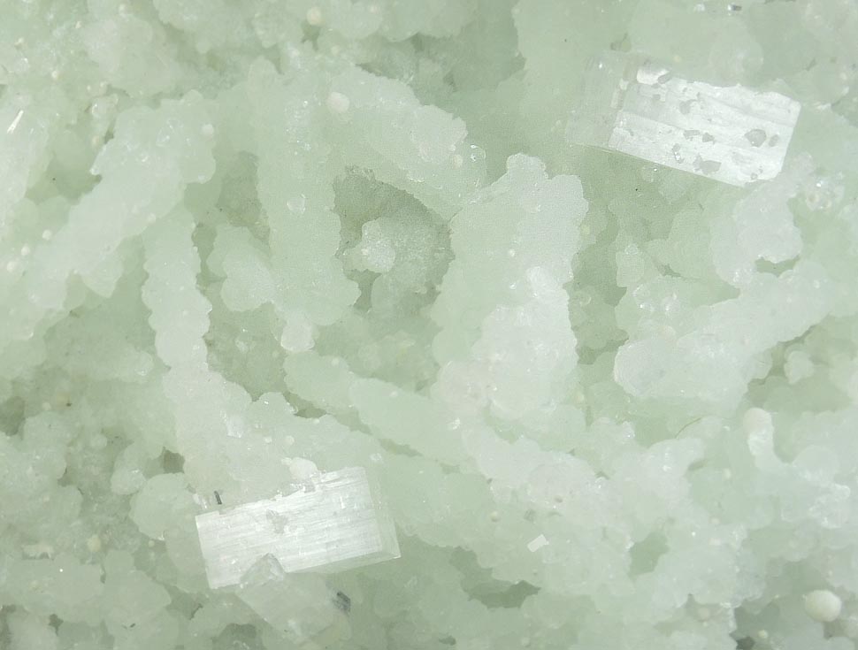 Apophyllite on Prehnite pseudomorphs after Laumontite from Mumbai District, Maharashtra, India