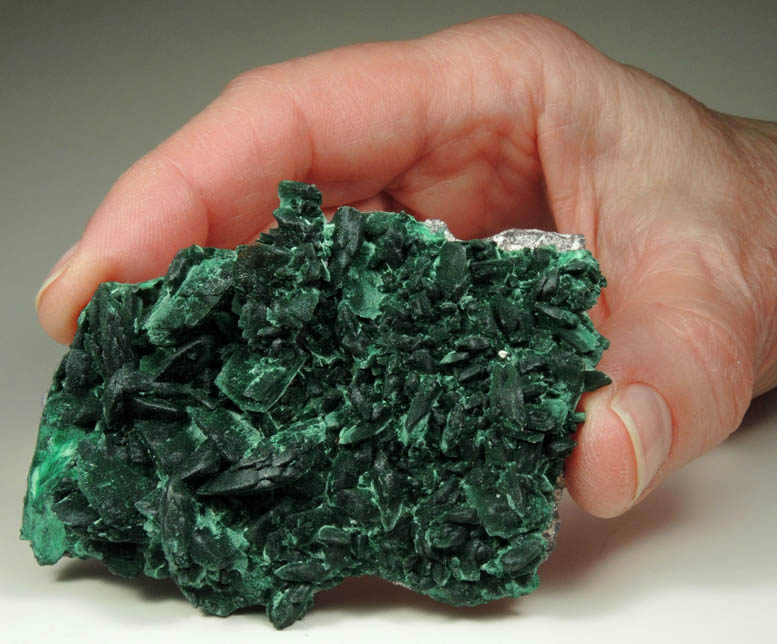 Malachite pseudomorphs after Azurite from Milpillas Mine, Cuitaca, Sonora, Mexico