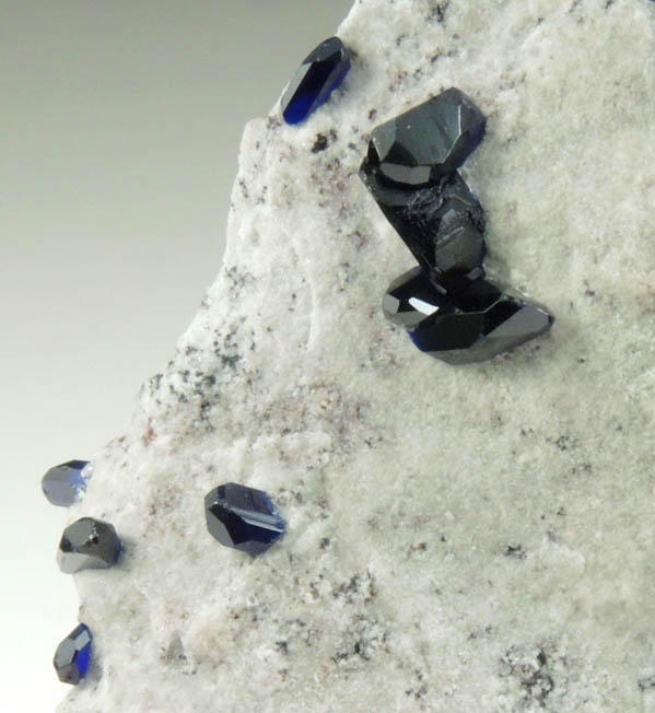 Azurite on Dickite-coated matrix from Milpillas Mine, Cuitaca, Sonora, Mexico