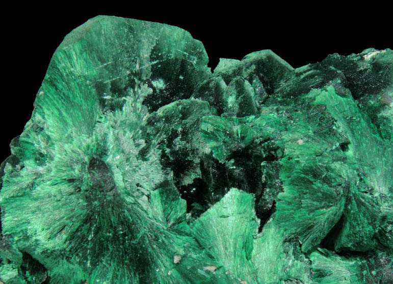 Malachite pseudomorphs after Azurite from Milpillas Mine, Cuitaca, Sonora, Mexico