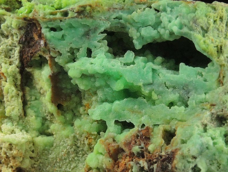 Phosphohedyphane and Chrysocolla over Cerussite from Cove Vein, Whytes Cleuch, Wanlockhead, Dumfriesshire, Scotland