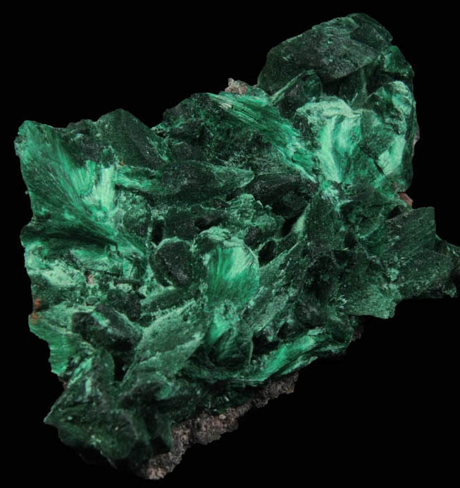 Malachite pseudomorphs after Azurite from Milpillas Mine, Cuitaca, Sonora, Mexico