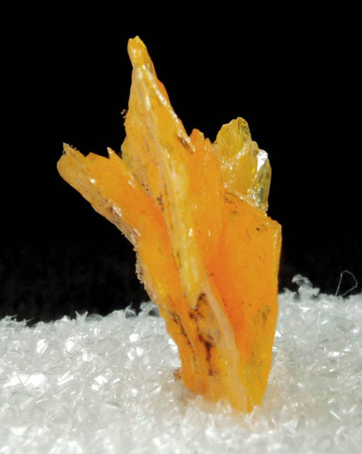 Wulfenite from Sierra de Los Lamentos, Chihuahua, Mexico