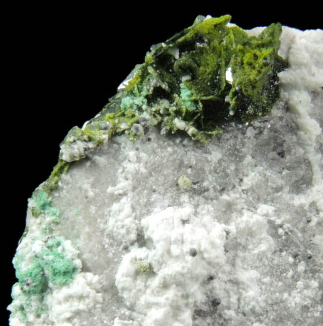 Volborthite from Milpillas Mine, Cuitaca, Sonora, Mexico