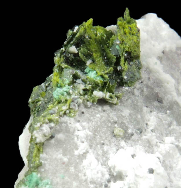 Volborthite from Milpillas Mine, Cuitaca, Sonora, Mexico