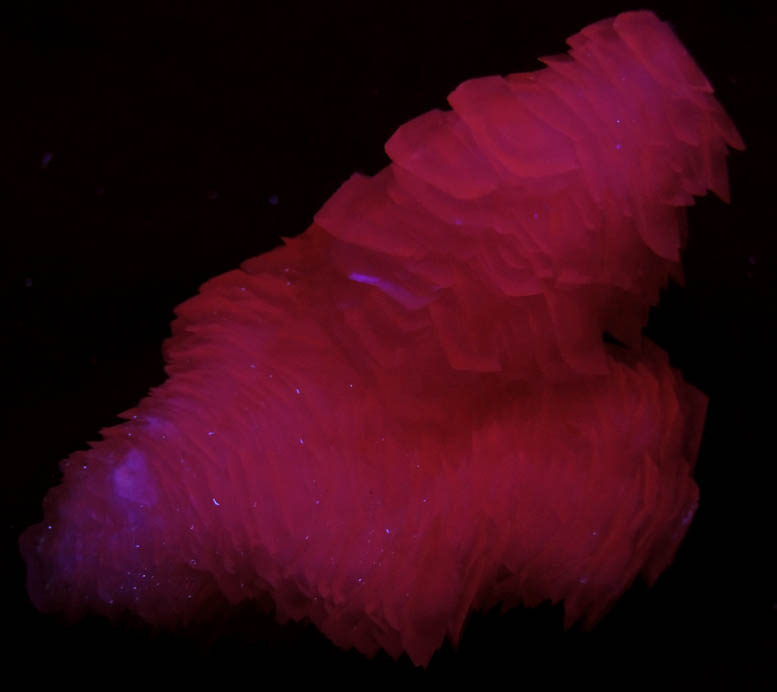 Photo below under shortwave ultraviolet illumination of Calcite (in stacked parallel formations) from Yaogangxian Mine, Nanling Mountains, Hunan, China Calcite (in stacked parallel formations) from Yaogangxian Mine, Nanling Mountains, Hunan, China