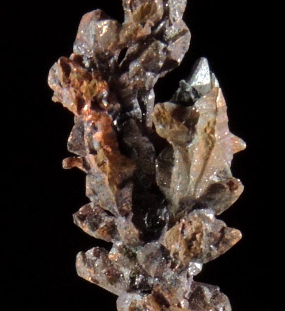 Copper (naturally crystallized native copper) from Itauz Mine, Karaganda Oblast', Kazakhstan