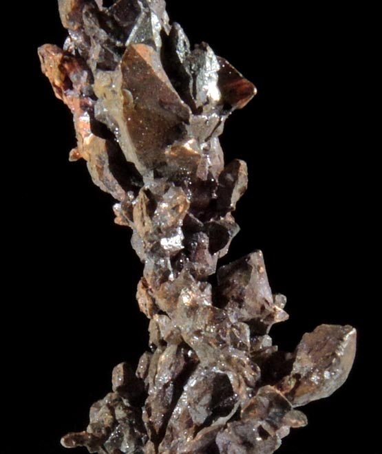 Copper (naturally crystallized native copper) from Itauz Mine, Karaganda Oblast', Kazakhstan