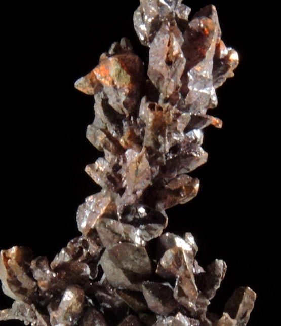 Copper (naturally crystallized native copper) from Itauz Mine, Karaganda Oblast', Kazakhstan