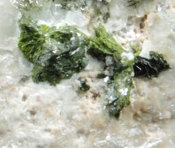 Volborthite on matrix from Milpillas Mine, Cuitaca, Sonora, Mexico