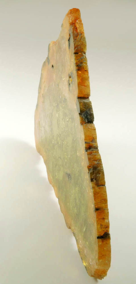 Liddicoatite Tourmaline Slice from Alakamisy Itenina, south of Antsirab, Fianarantsoa, Haute Matsiatra, Madagascar (Type Locality for Liddicoatite)