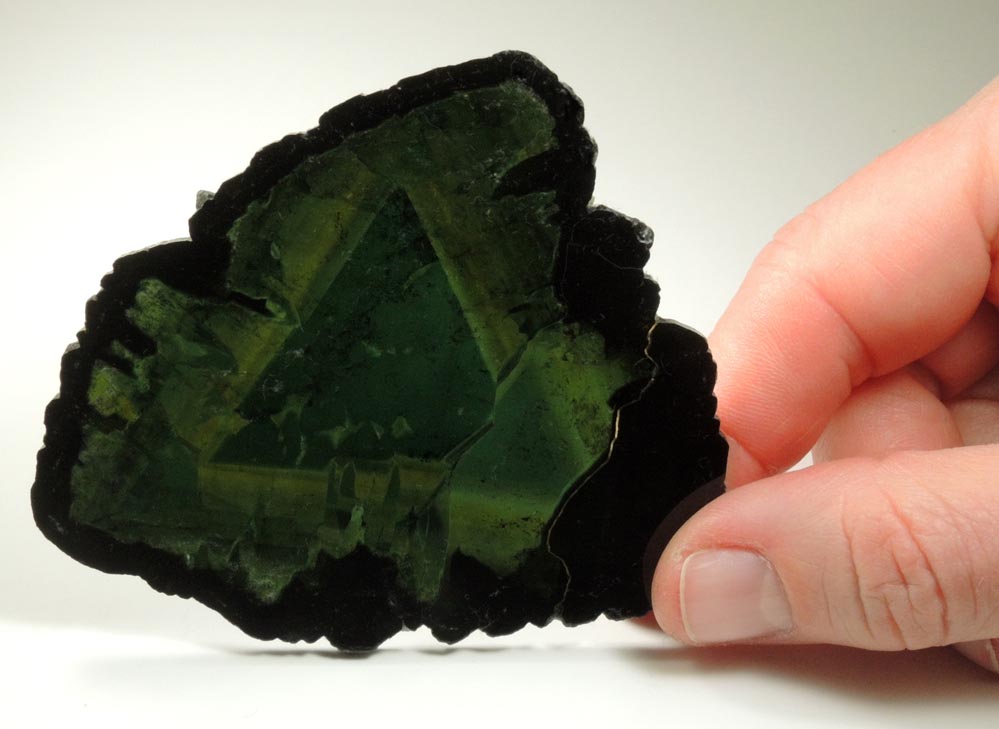 Liddicoatite Tourmaline Slice from Antsirab, Fianarantsoa, Haute Matsiatra, Madagascar (Type Locality for Liddicoatite)